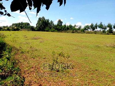 Very Good Residential Plots (1/8 1/4s in Kipkenyo, Eldoret - Image 4