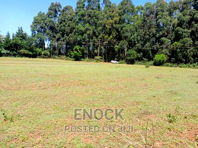Very Good Residential Plots (1/8 1/4s in Kipkenyo, Eldoret - Image 3