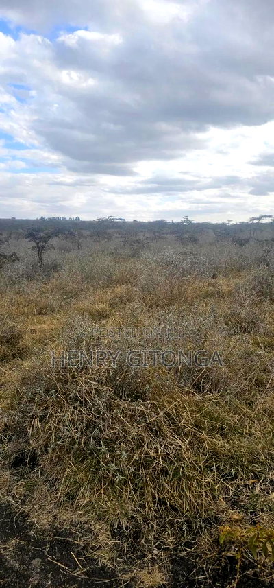 Kipeto Kajiado 20 Acres for Sale - Image 2