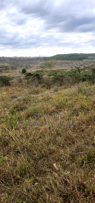 Kipeto Kajiado 20 Acres for Sale - Image 3