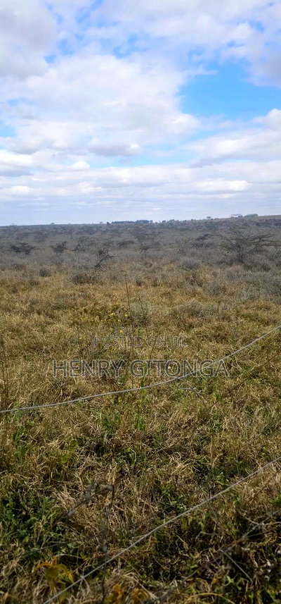 Kipeto Kajiado 20 Acres for Sale - Image 4