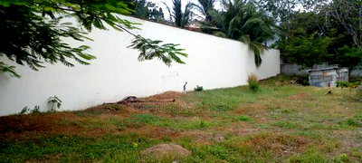 1 Acre Clear Sandy Beach Plot on Sale in Galu Beach - Image 13