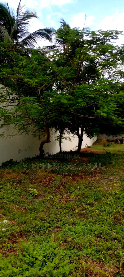 1 Acre Clear Sandy Beach Plot on Sale in Galu Beach - Image 14