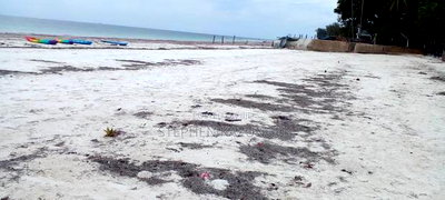 1 Acre Clear Sandy Beach Plot on Sale in Galu Beach - Image 6