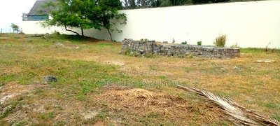 1 Acre Clear Sandy Beach Plot on Sale in Galu Beach - Image 9