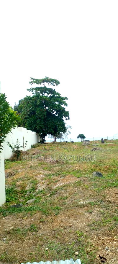 1 Acre Clear Sandy Beach Plot on Sale in Galu Beach - Image 5