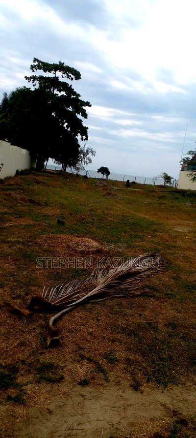 1 Acre Clear Sandy Beach Plot on Sale in Galu Beach - Image 3