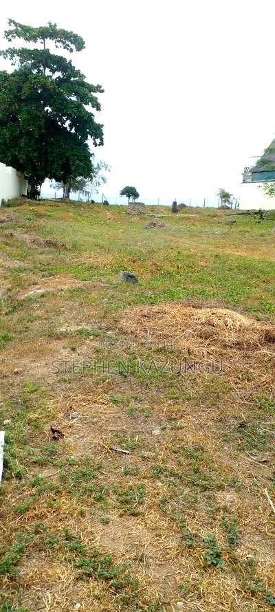 1 Acre Clear Sandy Beach Plot on Sale in Galu Beach - Image 7