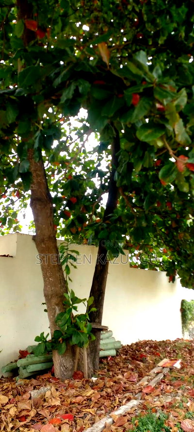 1 Acre Clear Sandy Beach Plot on Sale in Galu Beach - Image 2