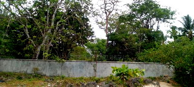 1 Acre Clear Sandy Beach Plot on Sale in Galu Beach - Image 15