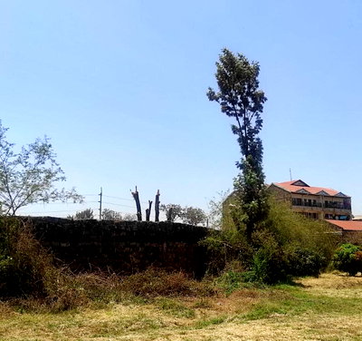 3-Acre Commercial Land in Ruiru