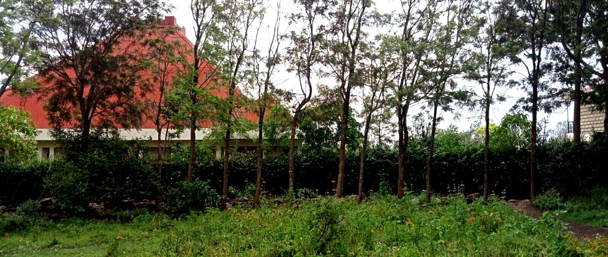1 Acre Kajiado Land at KSh 8.5M