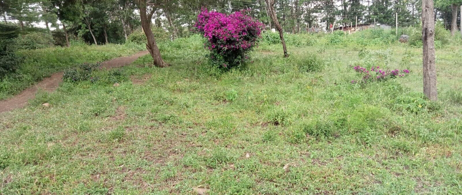 1 Acre Kajiado Land at KSh 8.5M