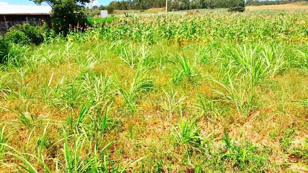 Plot for Sale in Kikuyu Kerwa( Gacuthi )100x100