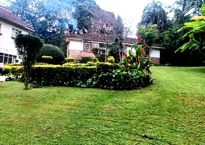 3/4 Acre Lavington Plot with Garden