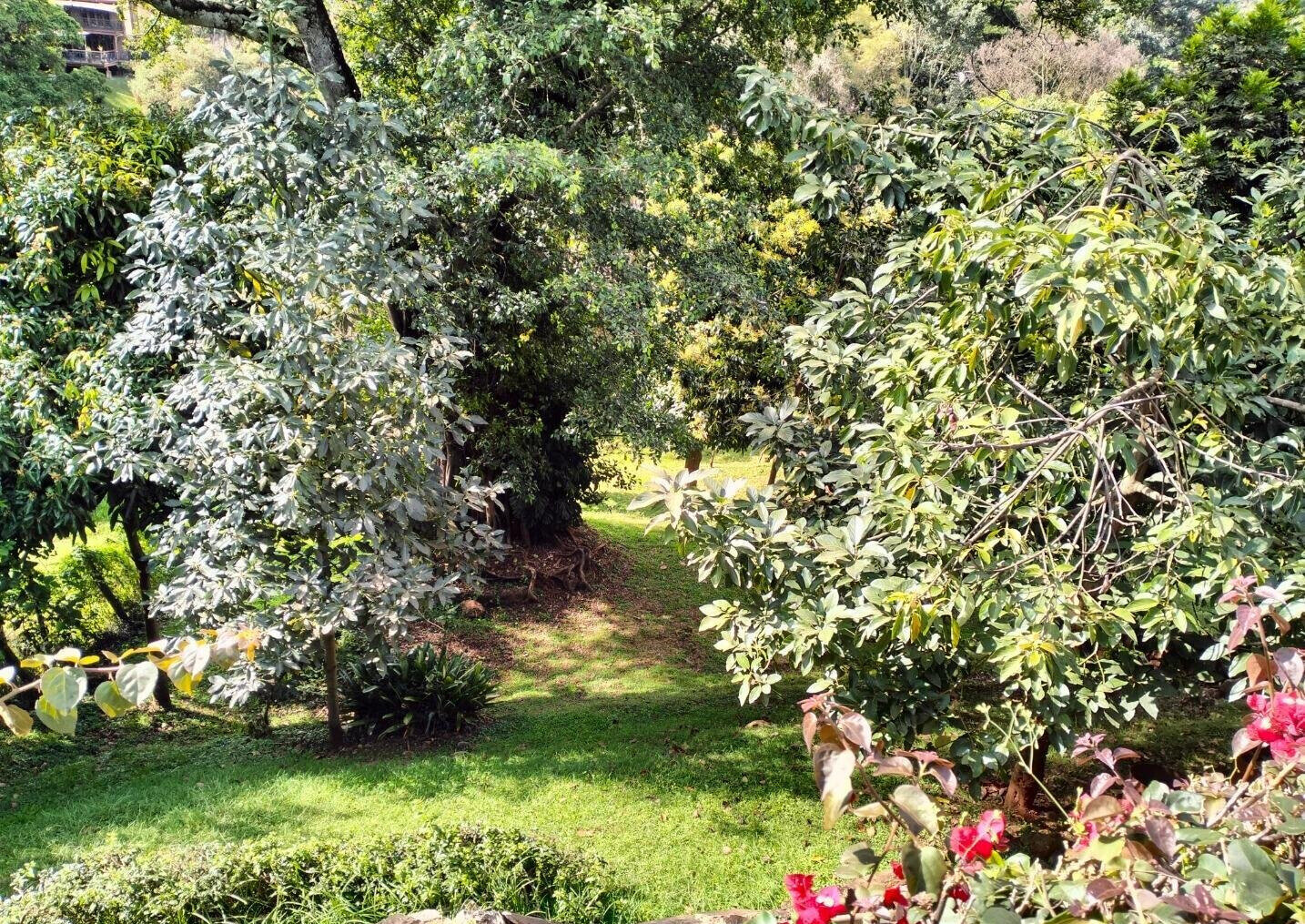 0.2 Acre Lavington Plot with Garden