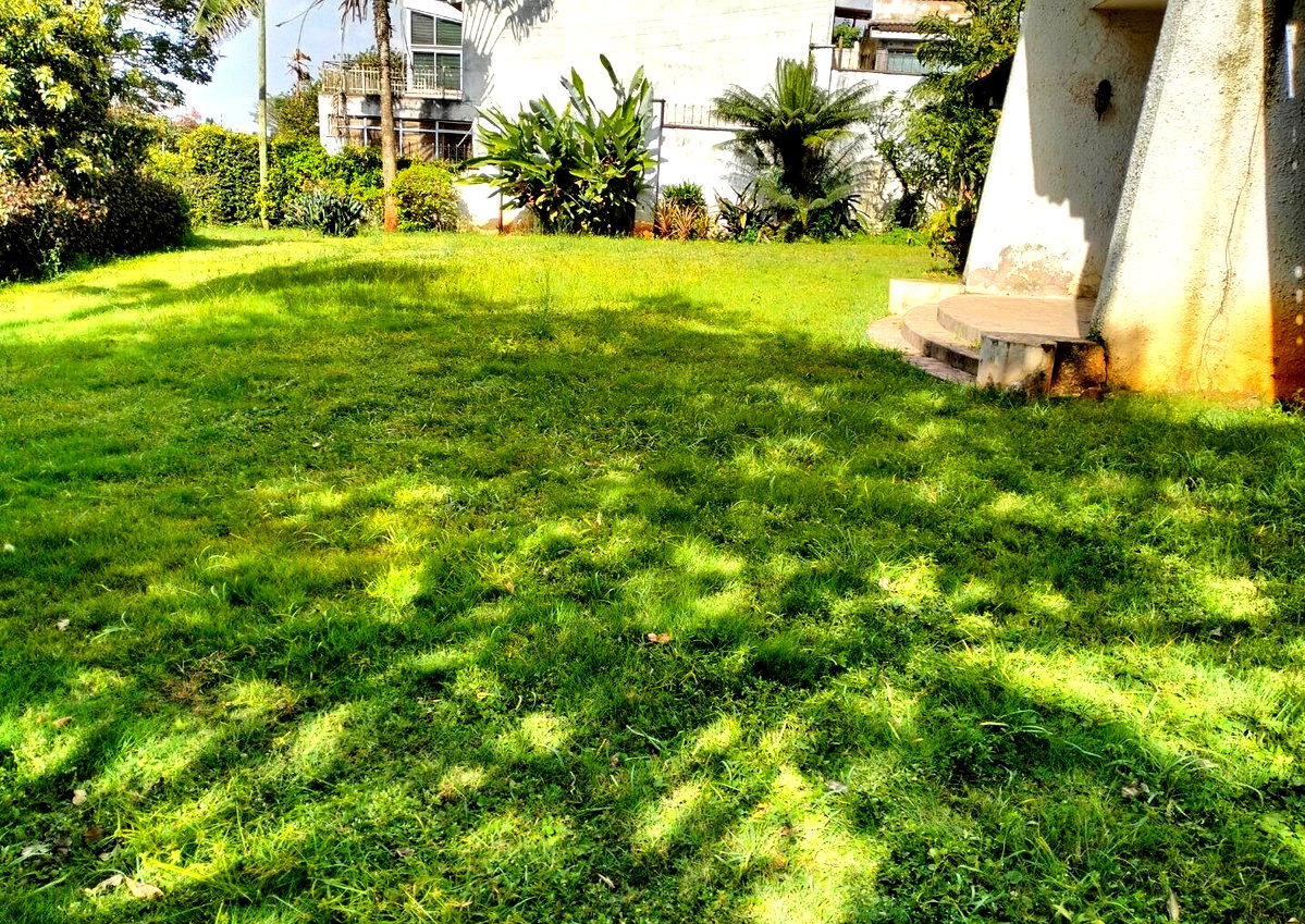 0.2 Acre Lavington Plot with Garden