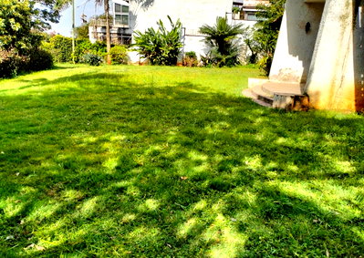 0.2 Acre Lavington Plot with Garden