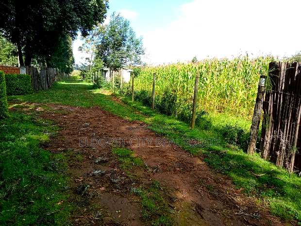 1/4 Plot Mti Moja Ideal for Residential