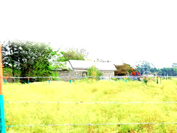 Nunua A Residential Malaa Plot Kwa Bei Poa
