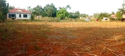 Siaya Mbaga Land for Sale. - Image 6