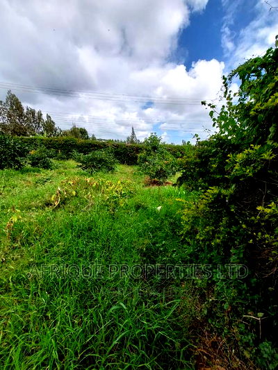 Kiukenda Estate | 1/2 Acre Residential Plot For Sale. - Image 6