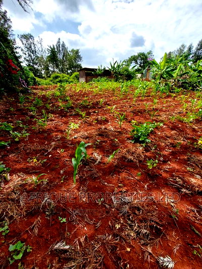 Kiukenda Estate | 1/2 Acre Residential Plot For Sale. - Image 5