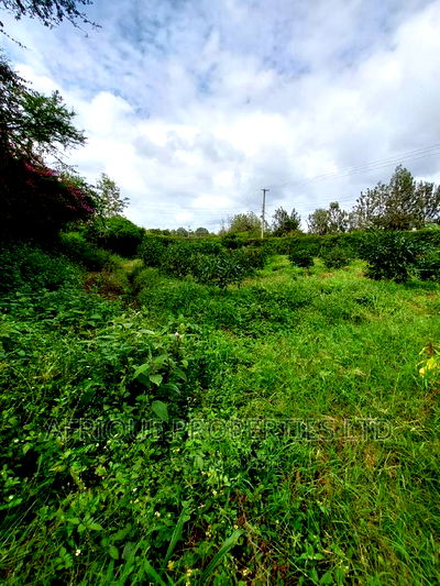 Kiukenda Estate | 1/2 Acre Residential Plot For Sale. - Image 4