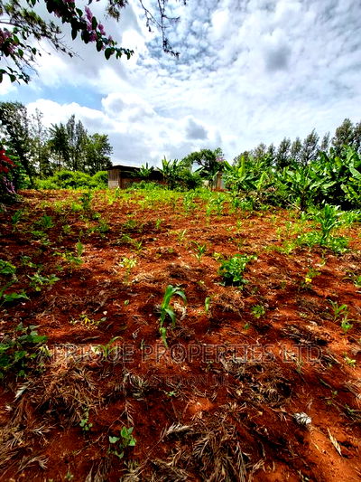 Kiukenda Estate | 1/2 Acre Residential Plot For Sale. - Image 2