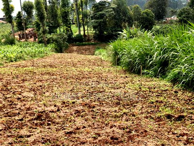Quarter Acre Plot in Zambezi With Farming Water Connected - Image 1