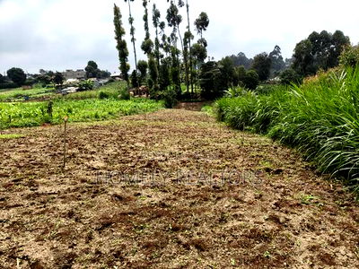 Quarter Acre Plot in Zambezi With Farming Water Connected - Image 2