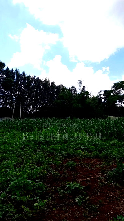 Ridgeways Country Homes,Residential 1/2 Acre Plot - Image 7