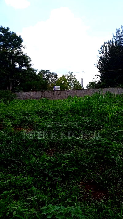 Ridgeways Country Homes,Residential 1/2 Acre Plot - Image 3