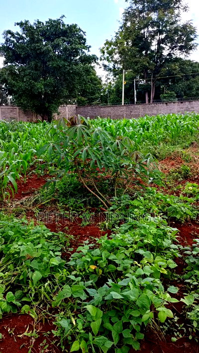 Ridgeways Country Homes,Residential 1/2 Acre Plot - Image 6