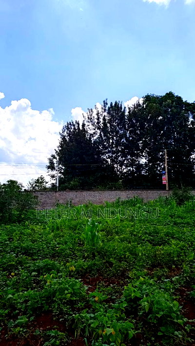 Ridgeways Country Homes,Residential 1/2 Acre Plot - Image 5