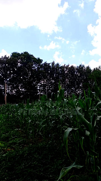 Ridgeways Country Homes,Residential 1/2 Acre Plot - Image 8