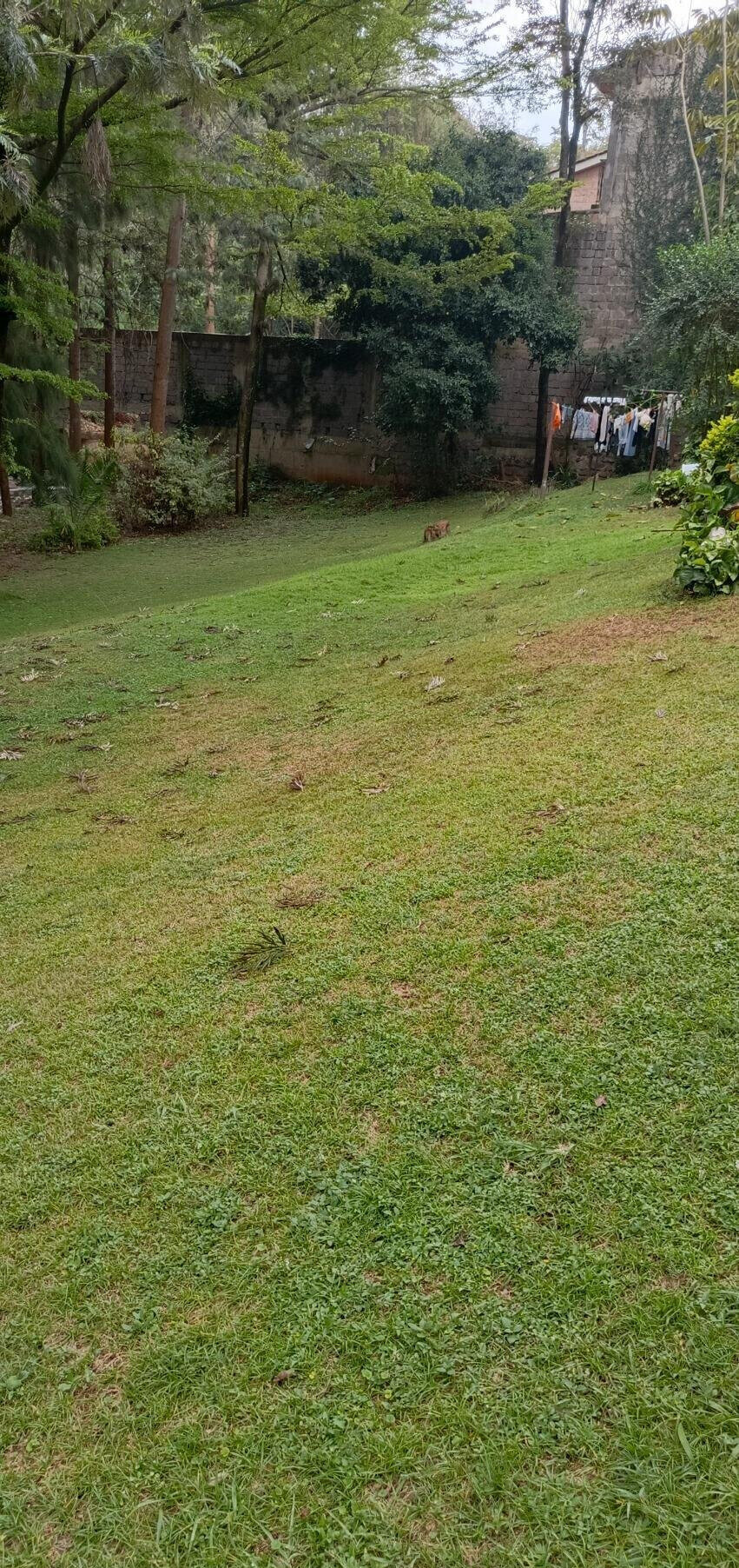 Gated Community Plot for Villa Development - Lavington
