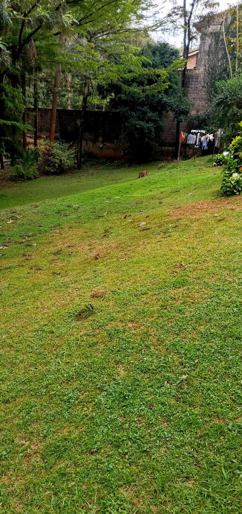 Gated Community Plot for Villa Development - Lavington