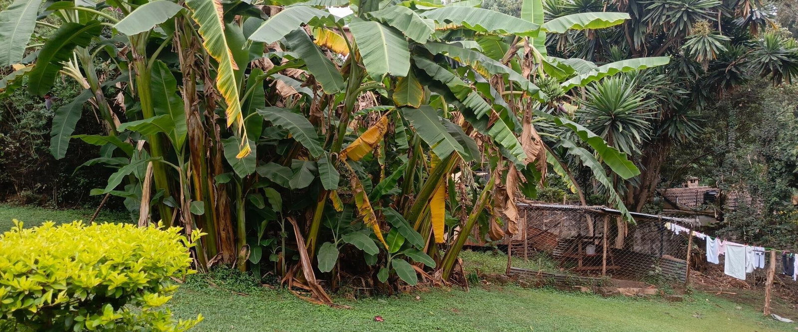 Gated Community Plot for Villa Development - Lavington