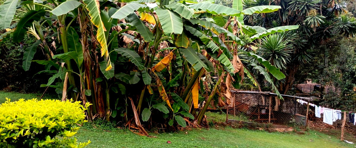 Gated Community Plot for Villa Development - Lavington