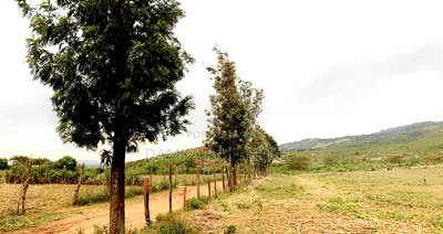 5 Acres for Sale Elementaita Near Heavens Gate - Image 5