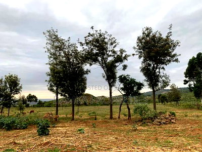 5 Acres for Sale Elementaita Near Heavens Gate - Image 2