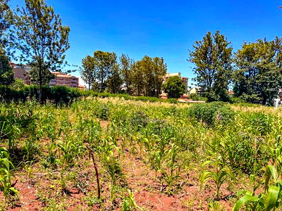 Commercial 3/4 Acre Plot for Sale in Thindigua, Kiambu - Image 1