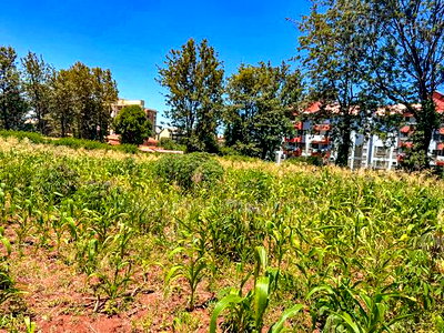 Commercial 3/4 Acre Plot for Sale in Thindigua, Kiambu - Image 4