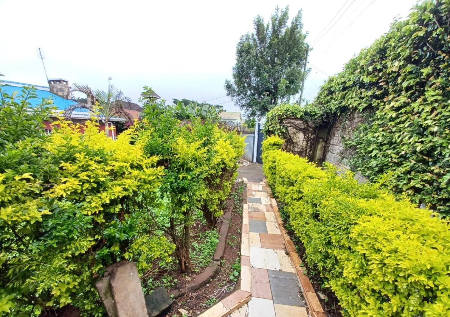 3BR Bungalow with Garden at KSh 50K