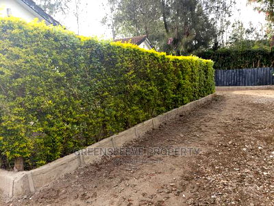 3bdrm Bungalow in Mangari Roads Karen, Hardy for Rent - Image 7