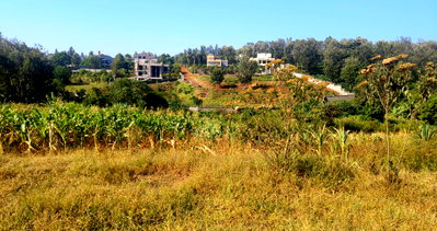 Quarter Acre Garden Plot in Ruiru