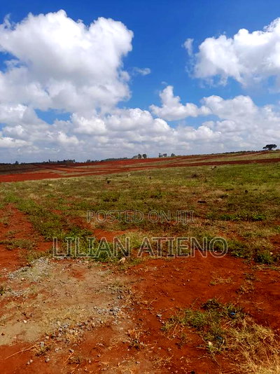 Plots for Sale in Mugutha - Image 1