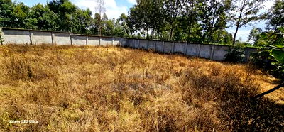 Commercial 1/4 Plot Perimetre Wall for Sale in Annex Eldoret - Image 6