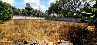 Commercial 1/4 Plot Perimetre Wall for Sale in Annex Eldoret - Image 7
